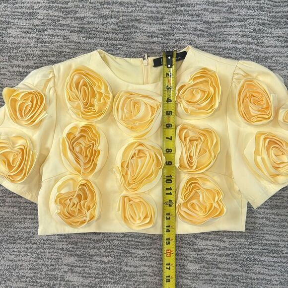 NWT Luxe Dress Rose-appliqué Cropped Top / Skirt Set In Gelb Yellow Large - Picture 10 of 16